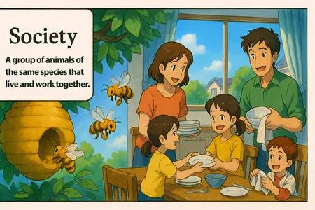 society Simple Definition