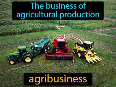 agribusiness Simple Definition