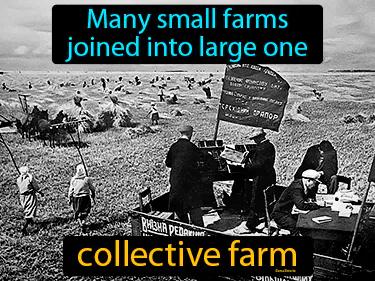 collective farm Simple Definition