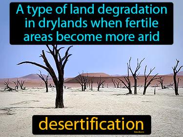 desertification Simple Definition