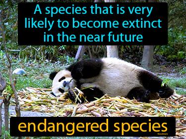 endangered species Simple Definition