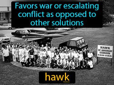 hawk Simple Definition