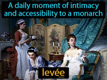 levee Simple Definition