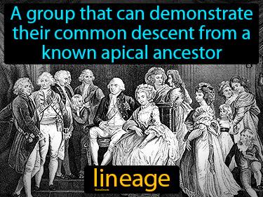 lineage Simple Definition