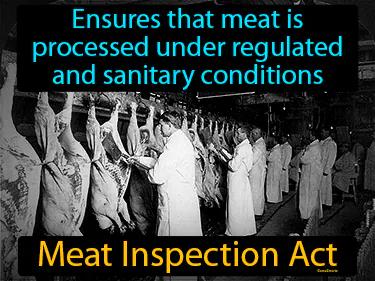 Meat Inspection Act Simple Definition