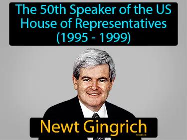 Newt Gingrich Simple Definition