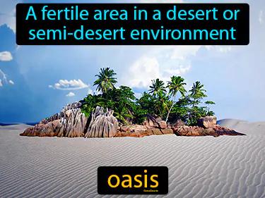 oasis Simple Definition