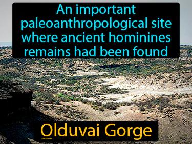 Olduvai Gorge Simple Definition