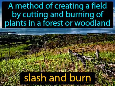 slash and burn Simple Definition