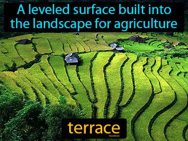 terrace Simple Definition