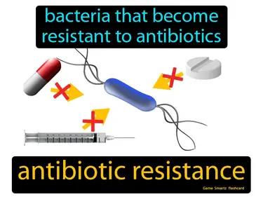 antibiotic resistance Simple Definition