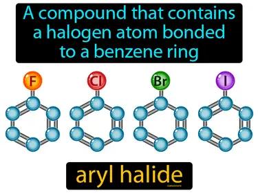aryl halide Simple Definition
