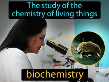 biochemistry Simple Definition