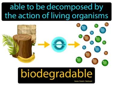 biodegradable Simple Definition