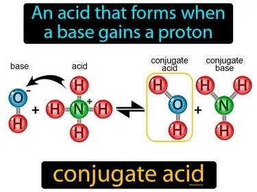 conjugate acid Simple Definition