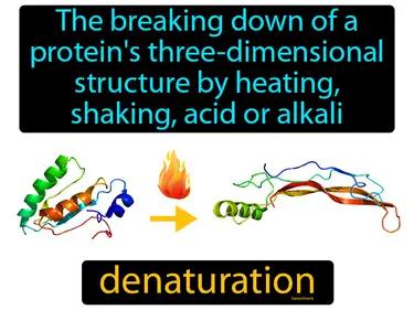 denaturation Simple Definition