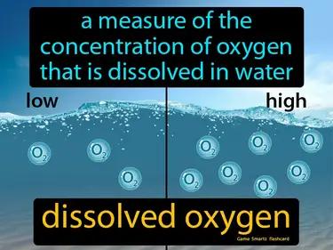 dissolved oxygen Simple Definition
