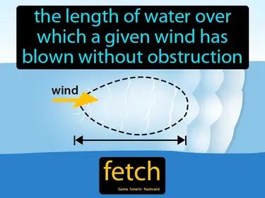 fetch Simple Definition