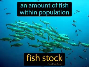 fish stock Simple Definition