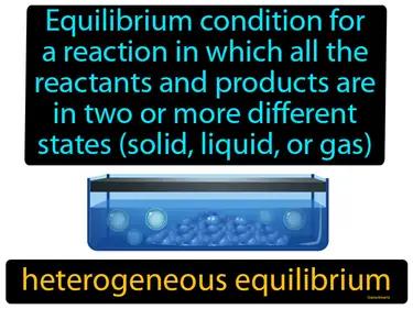 heterogeneous equilibrium Simple Definition