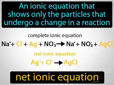 net ionic equation Simple Definition