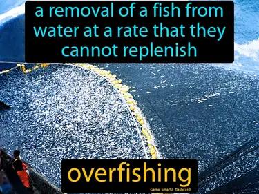 overfishing Simple Definition