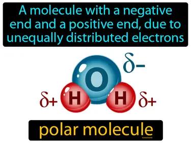 polar molecule Simple Definition