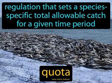 quota Simple Definition