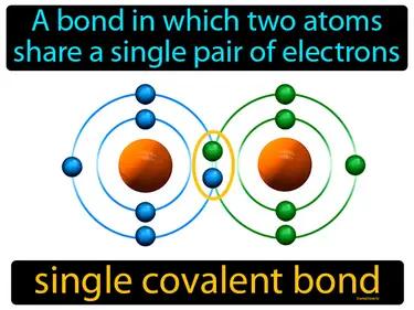 single covalent bond Simple Definition
