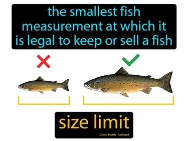 size limit Simple Definition
