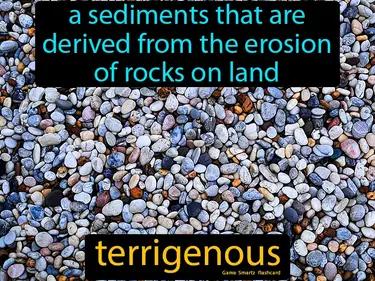 terrigenous Simple Definition