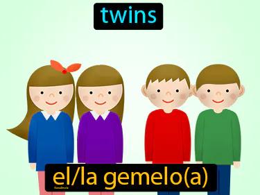 el gemelo Simple Definition