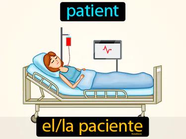 el paciente Simple Definition