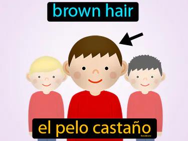 el pelo castano Simple Definition