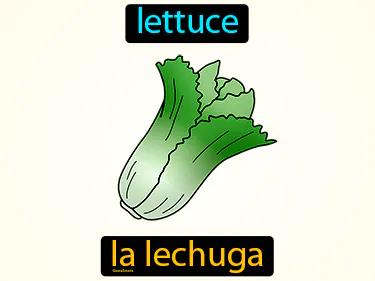 la lechuga Simple Definition
