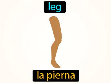 la pierna Simple Definition