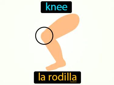 la rodilla Simple Definition