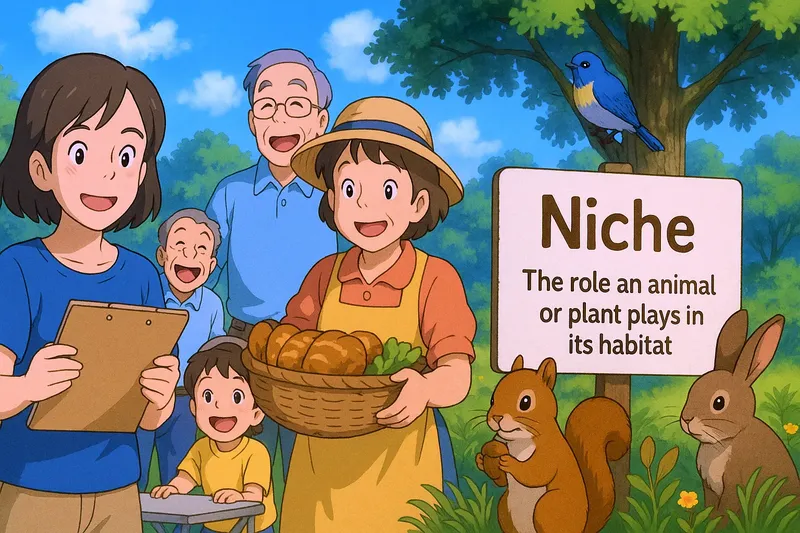 What is a Niche? - Easy to Understand