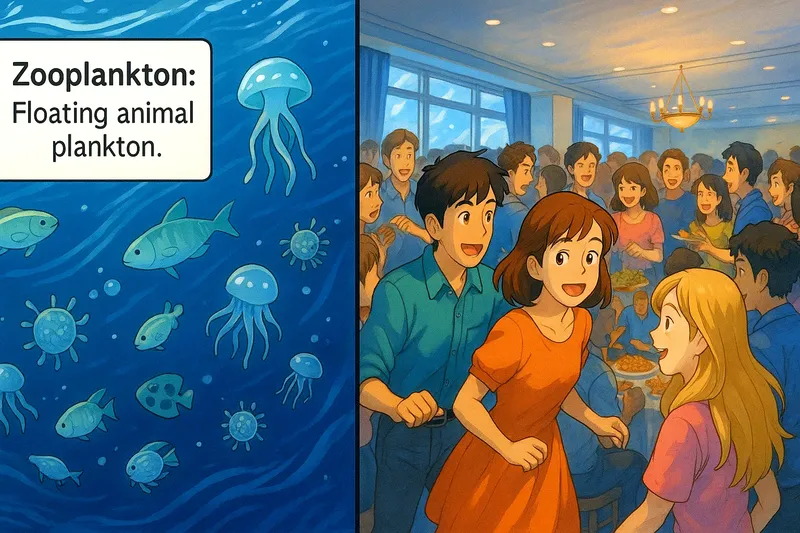 What is Zooplankton? - Easy to Understand What is Zooplankton? - Easy to Understand
