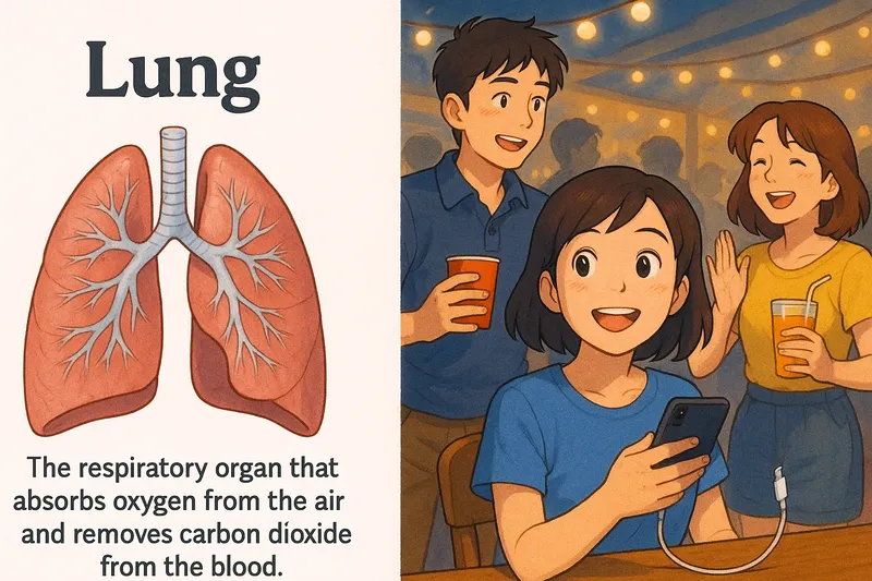 What is a Lung? - Easy to Understand