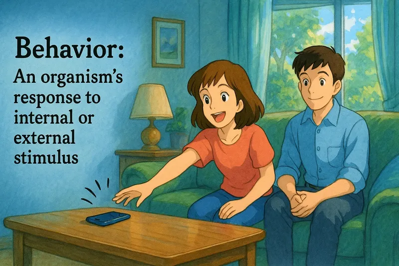 What is Behavior? - Easy to Understand