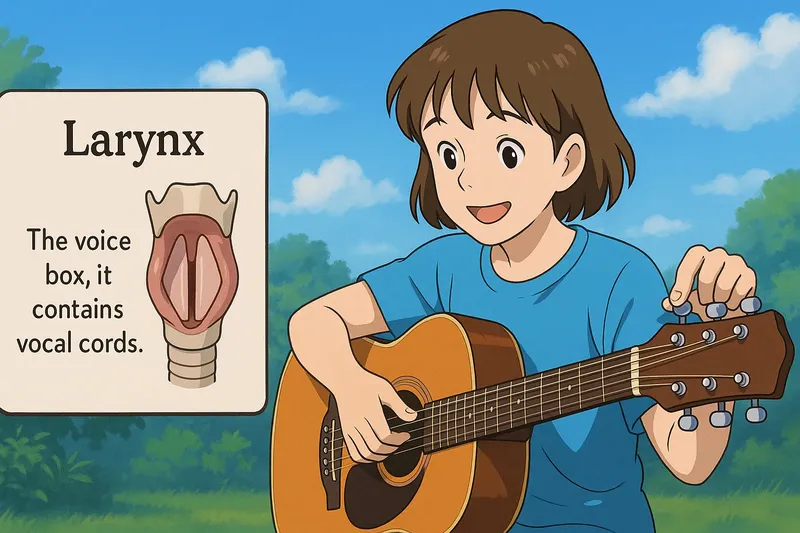 What is the Larynx? - Easy to Understand What is the Larynx? - Easy to Understand