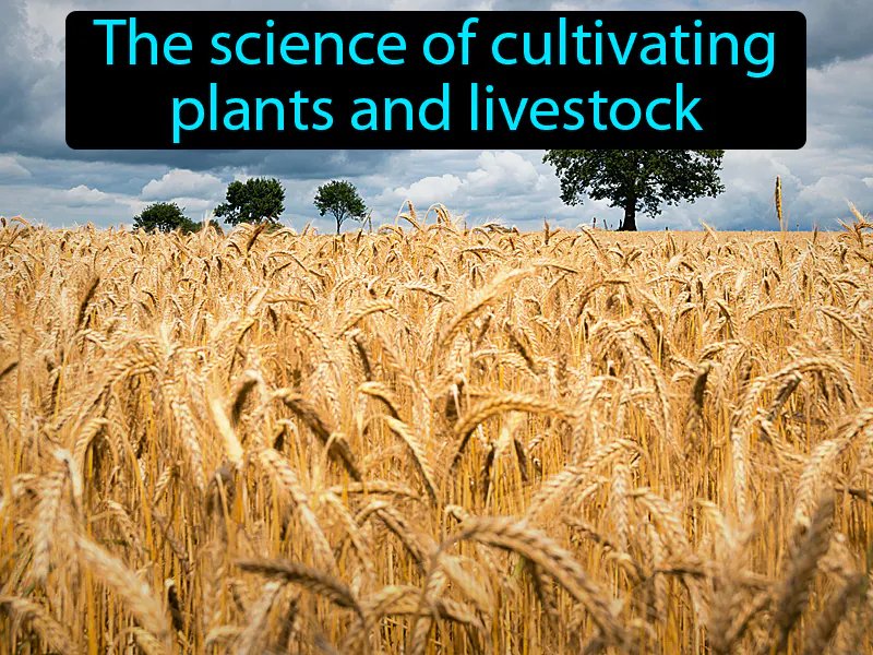 Agriculture Definition