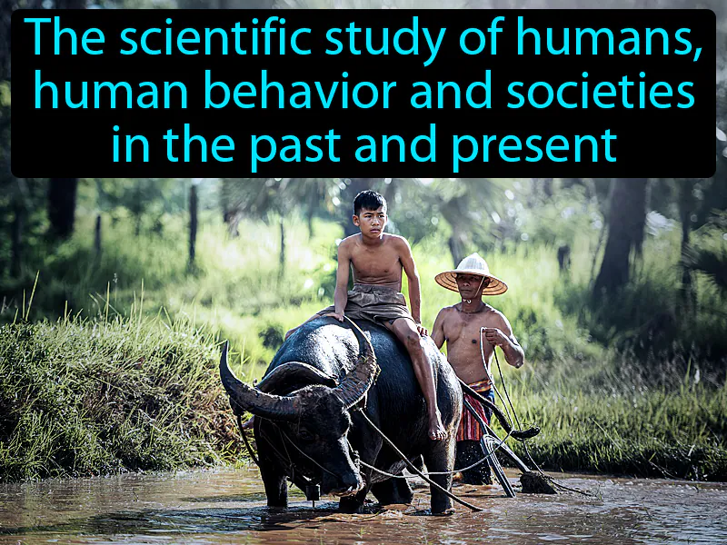 Anthropology Definition