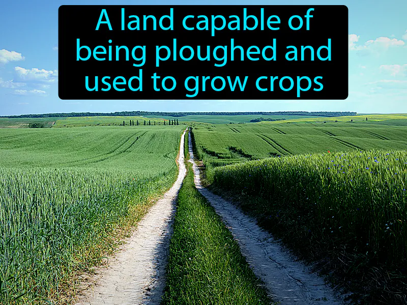 Arable Definition