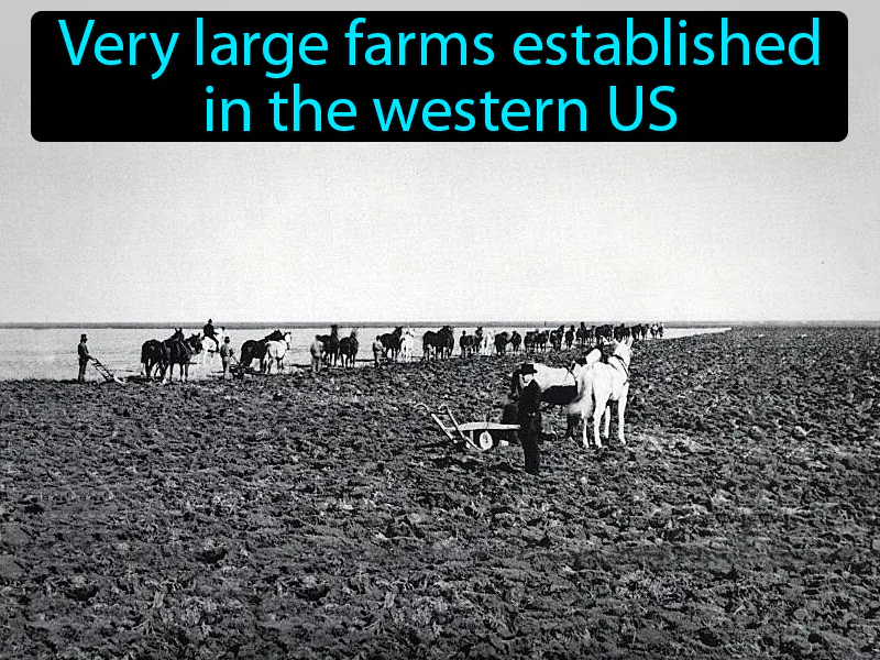 Bonanza Farms Definition