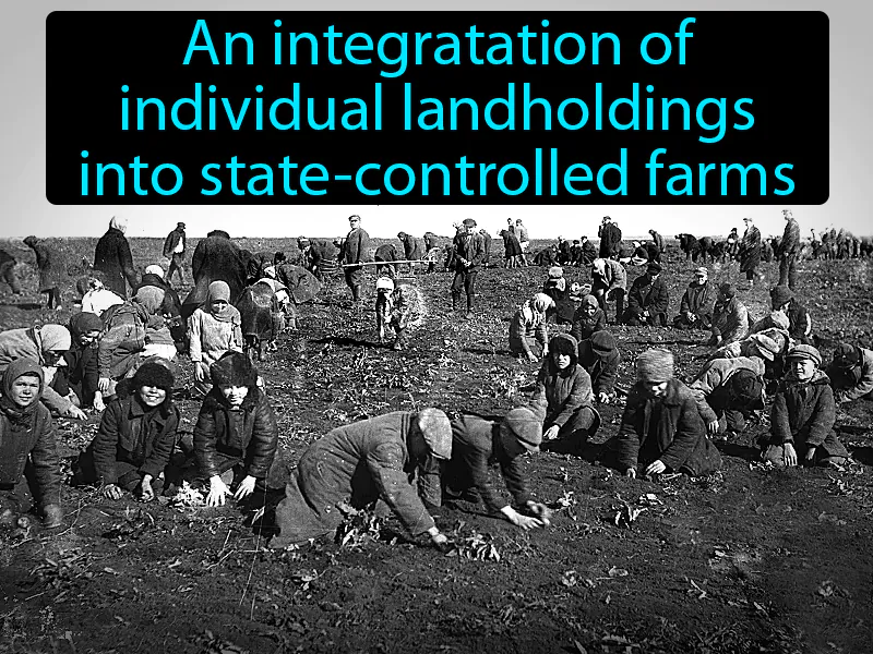 Collectivization Definition