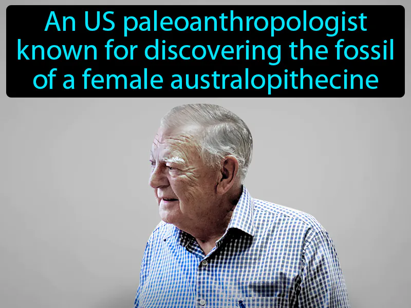 Donald Johanson Definition