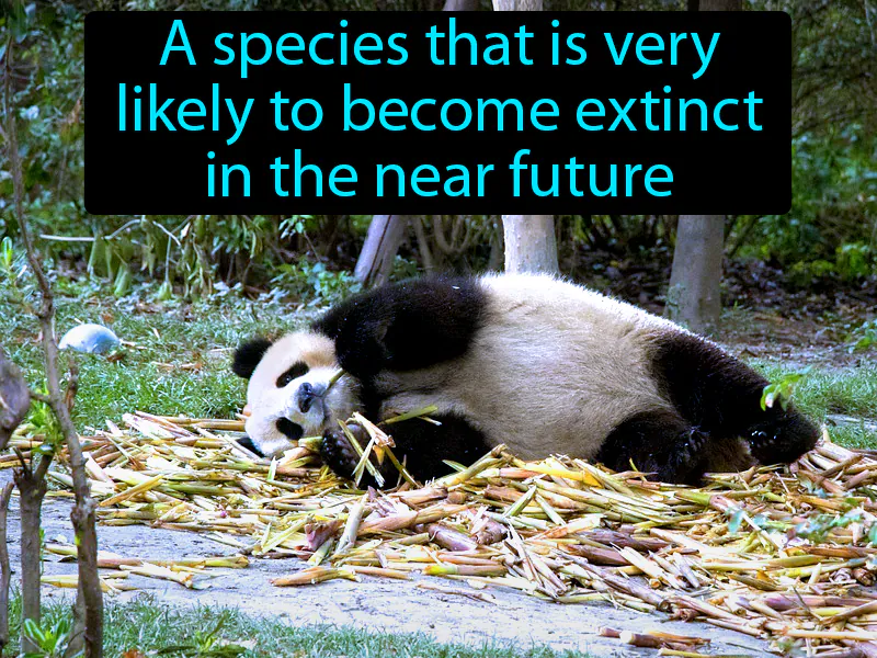 Endangered Species Definition