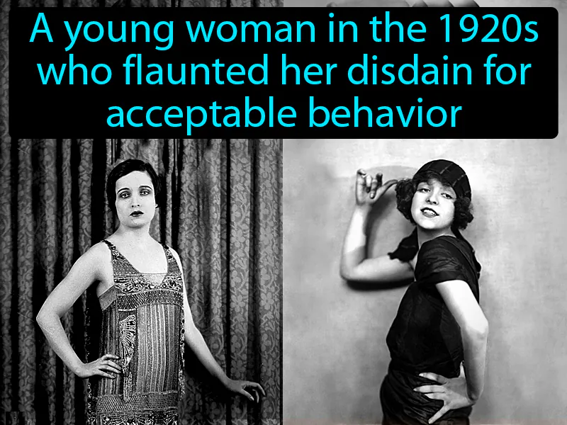 Flapper Definition